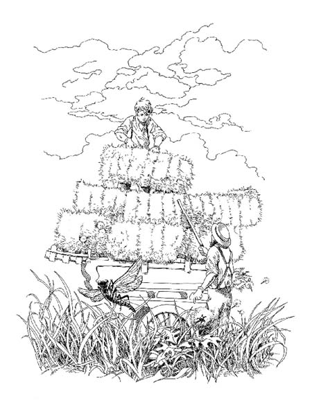 pbm-damien-Illustration1.jpg
