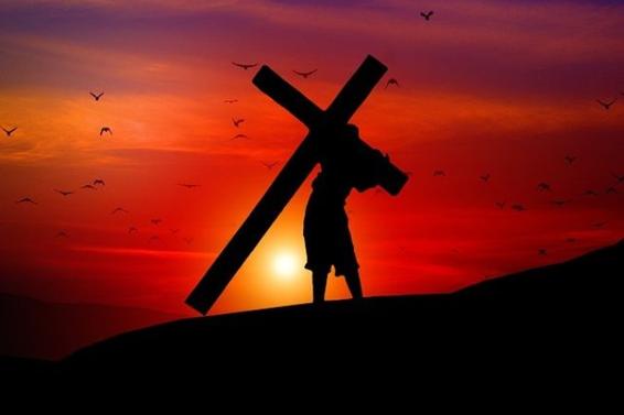 Par, Outono, Sol Da Noite, Natureza, Humanos, Amor