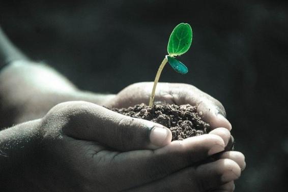Par, Outono, Sol Da Noite, Natureza, Humanos, Amor