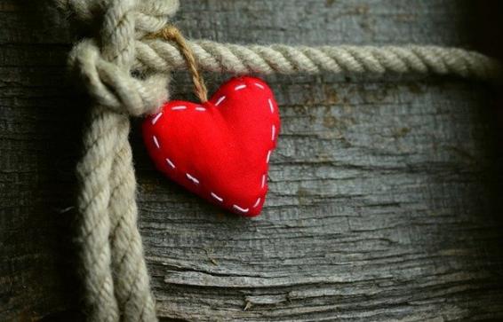 Par, Outono, Sol Da Noite, Natureza, Humanos, Amor