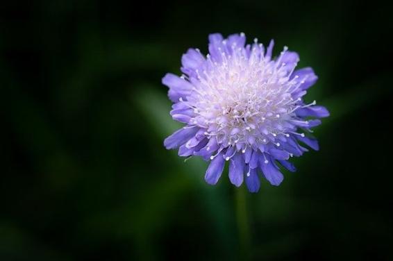 Par, Outono, Sol Da Noite, Natureza, Humanos, Amor