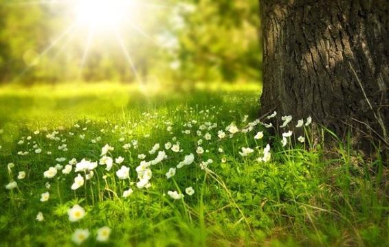Par, Outono, Sol Da Noite, Natureza, Humanos, Amor