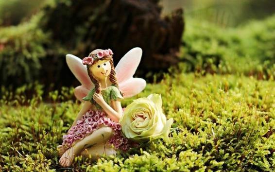 Par, Outono, Sol Da Noite, Natureza, Humanos, Amor