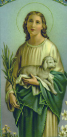 Santa Inês